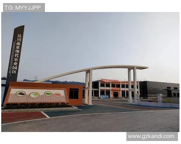 广州乒乓球队运营革新探索：从传统模式到现代管理的转型之路